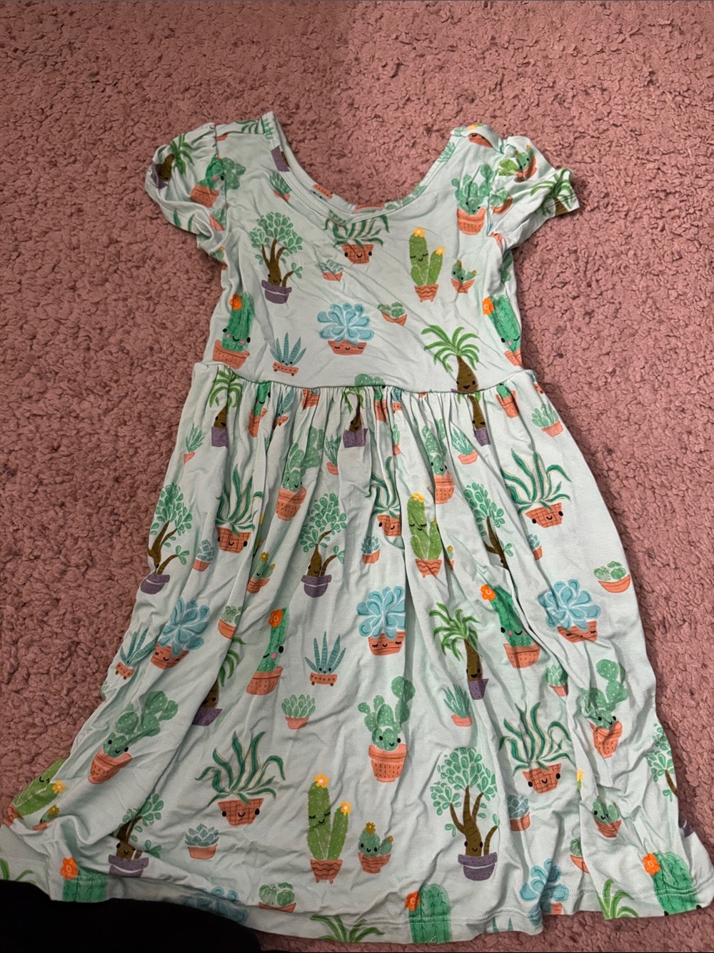 Little Sleepies Succulent Dress